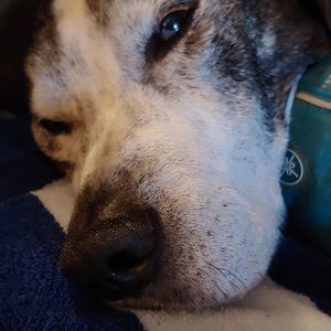 Meet your Posher, Janel